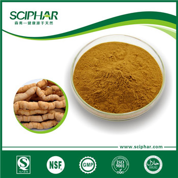 <b> Morinda officinalis Extract</b> <b> Morinda officinalis Extract</b>