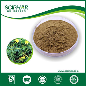 <b>Tribulus terrestris extract</b> <b>Tribulus terrestris extract</b>