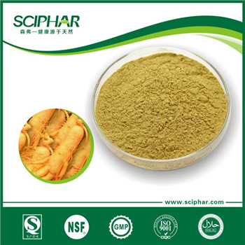 Panax ginseng extract Panax ginseng extract