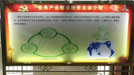 陜西森弗：億萬(wàn)資金助力扶貧