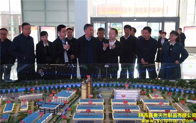 陜西省商務(wù)廳紀(jì)檢組組長(zhǎng)胡仁喜一行調(diào)研森弗公司內(nèi)外貿(mào)工作情況