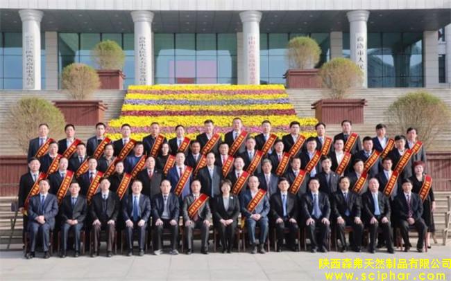 陜西森弗被評為“商洛市優(yōu)秀民營企業(yè)”，董事長金新康榮獲“商洛市優(yōu)秀民營企業(yè)家”稱號