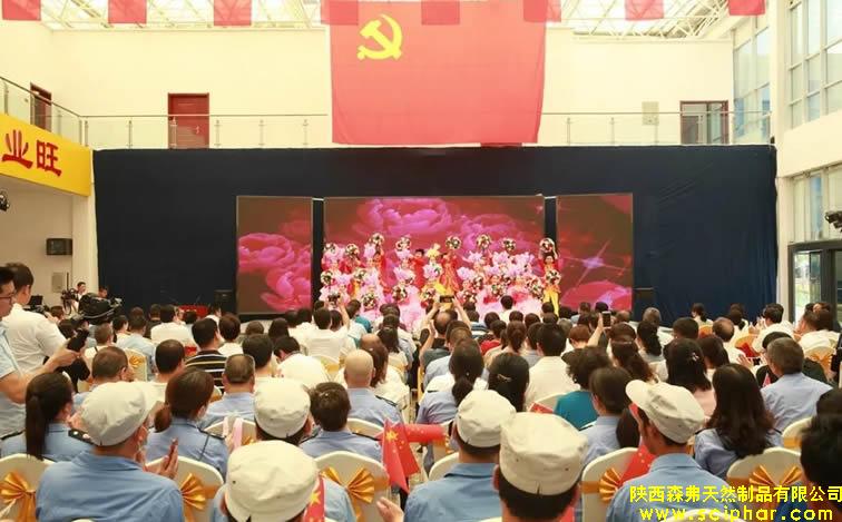 商州非公經(jīng)濟(jì)組織和社會(huì)組織黨建工作觀摩推進(jìn)暨三星級(jí)黨組織命名表彰大會(huì)在森弗紅色會(huì)客廳舉行