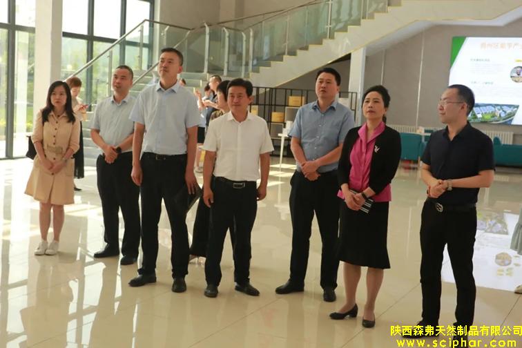 省委外事辦主任姚紅娟蒞臨森弗公司考察調(diào)研