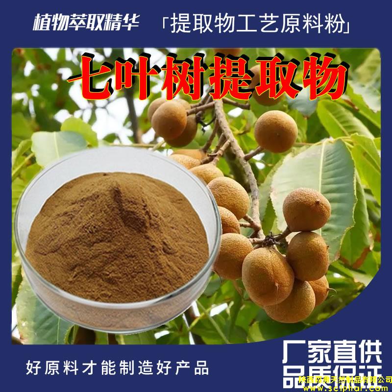 七葉樹提取物的成分、功效