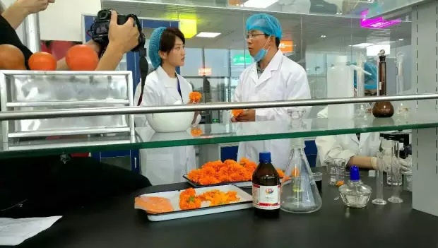 Sciphar ＂kind of dream＂ program will be at 8:00 on November 8 broadcast in the CCTV four sets